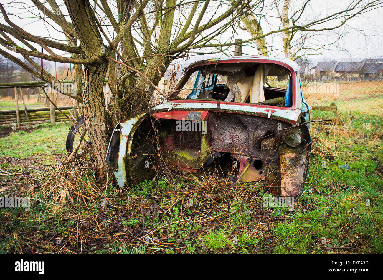 Skoda 1000 MB De Luxe, wreckage Stock Photo