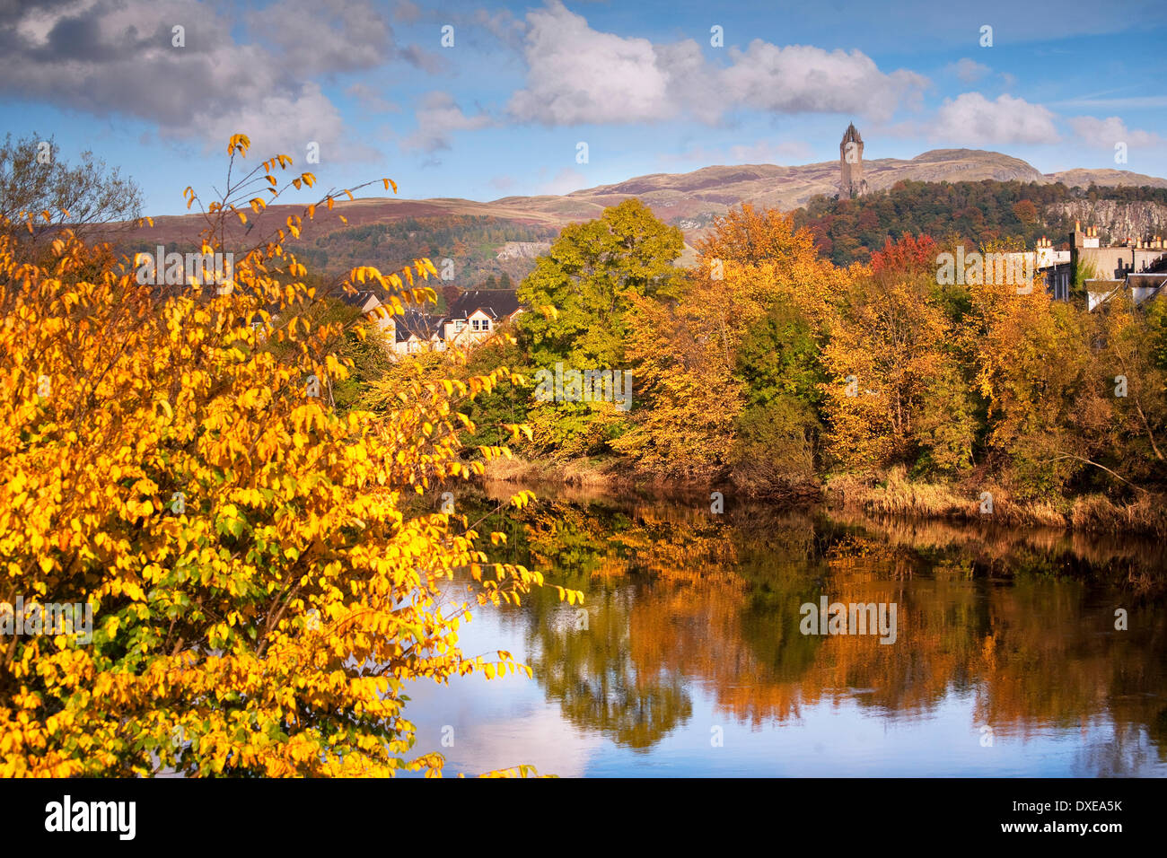 Autumn view from old stirling bridge towards river Forth and the wallace monument. Stock Photo