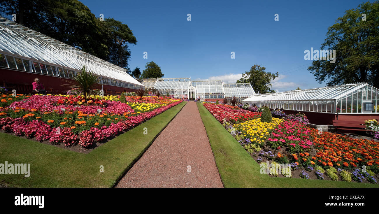 Ardencraig gardens, Rothesay, Isle of Bute, Argyll Stock Photo Alamy