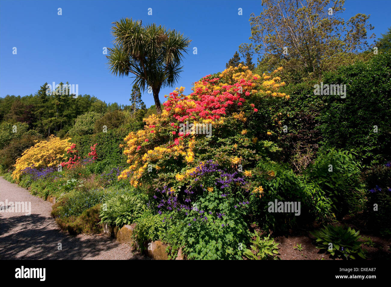 Arduaine Gardens, Melfort, Argyll Stock Photo Alamy