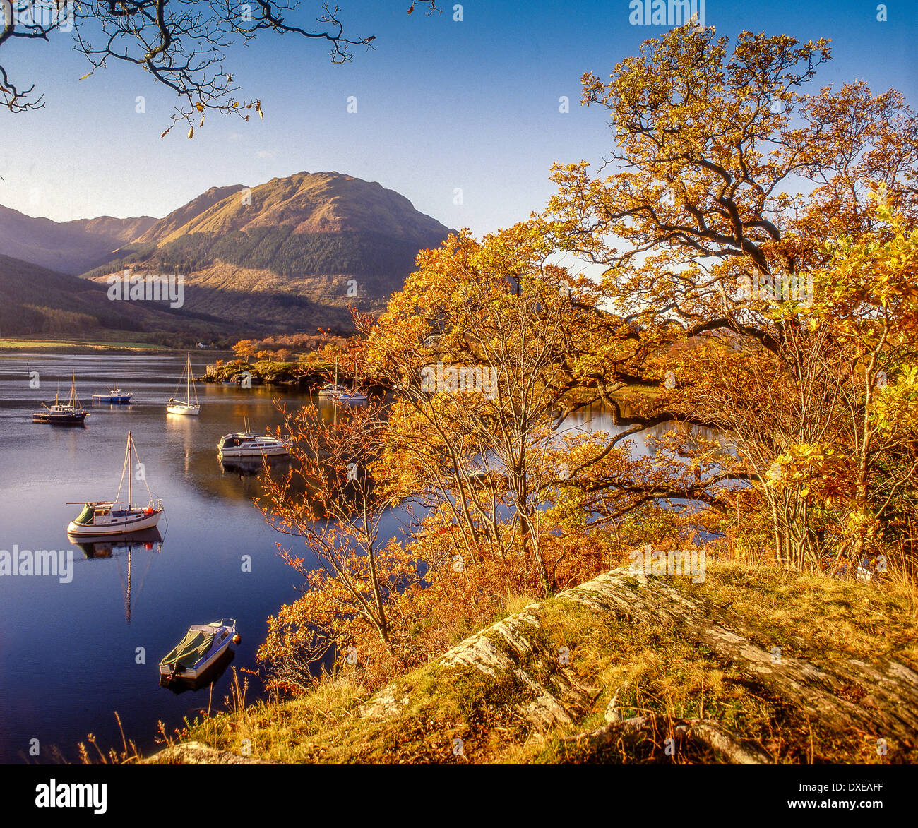 Bay in the Autumn, Loch Leven, Ballachulish Stock Photo Alamy