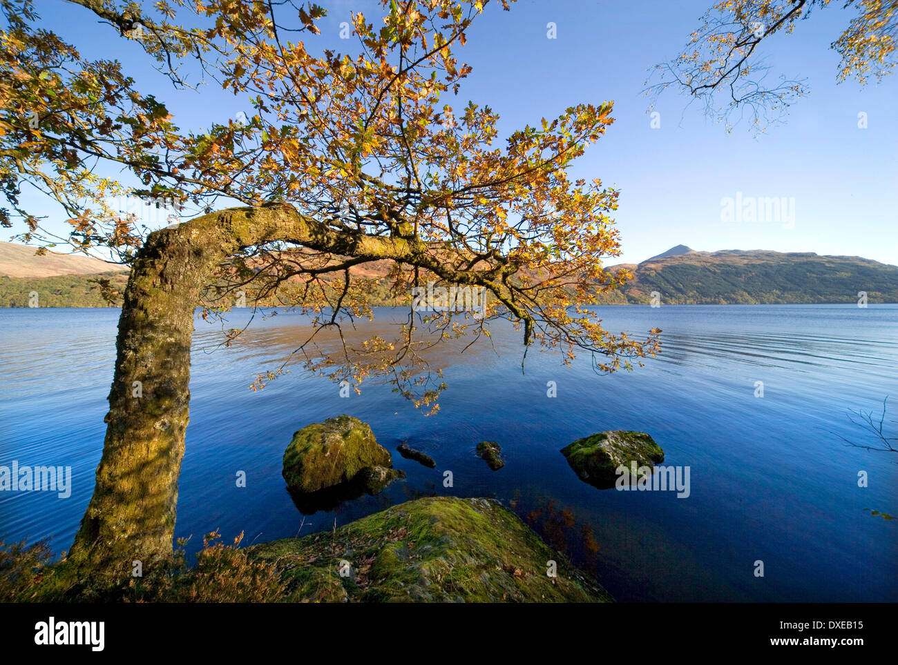 Autumn view from the shore of Loch Lomond, Dumbartonshire. Stock Photo