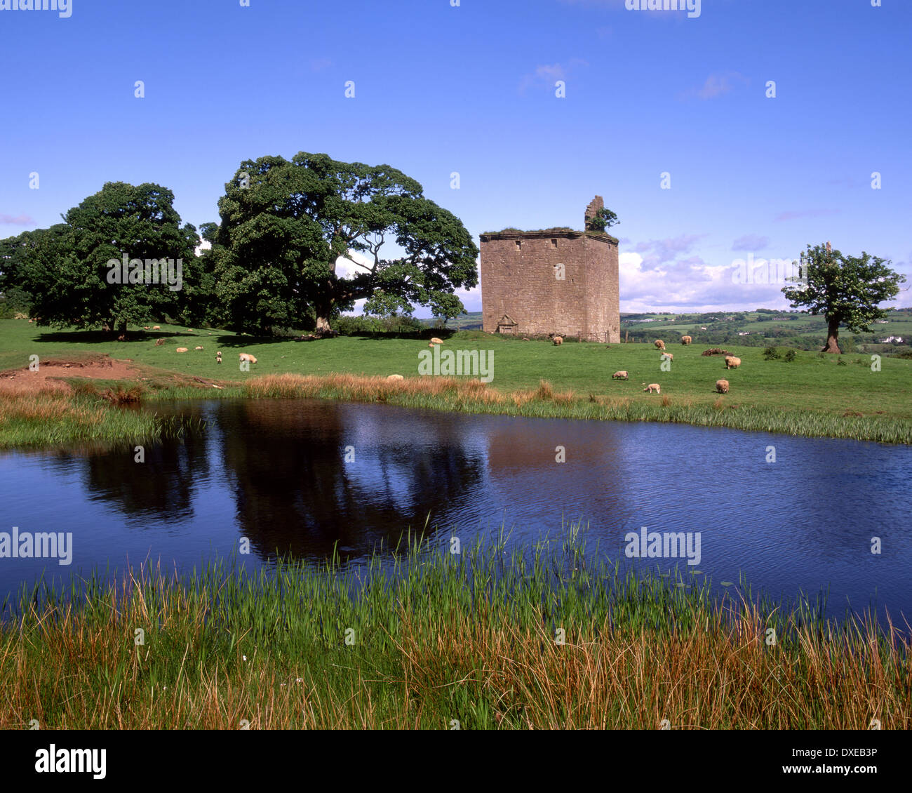 Barr castle ruins 16th cent tower near Lochwinnoch Renfrewshire.barr-loch,  east ayrshire Stock Photo