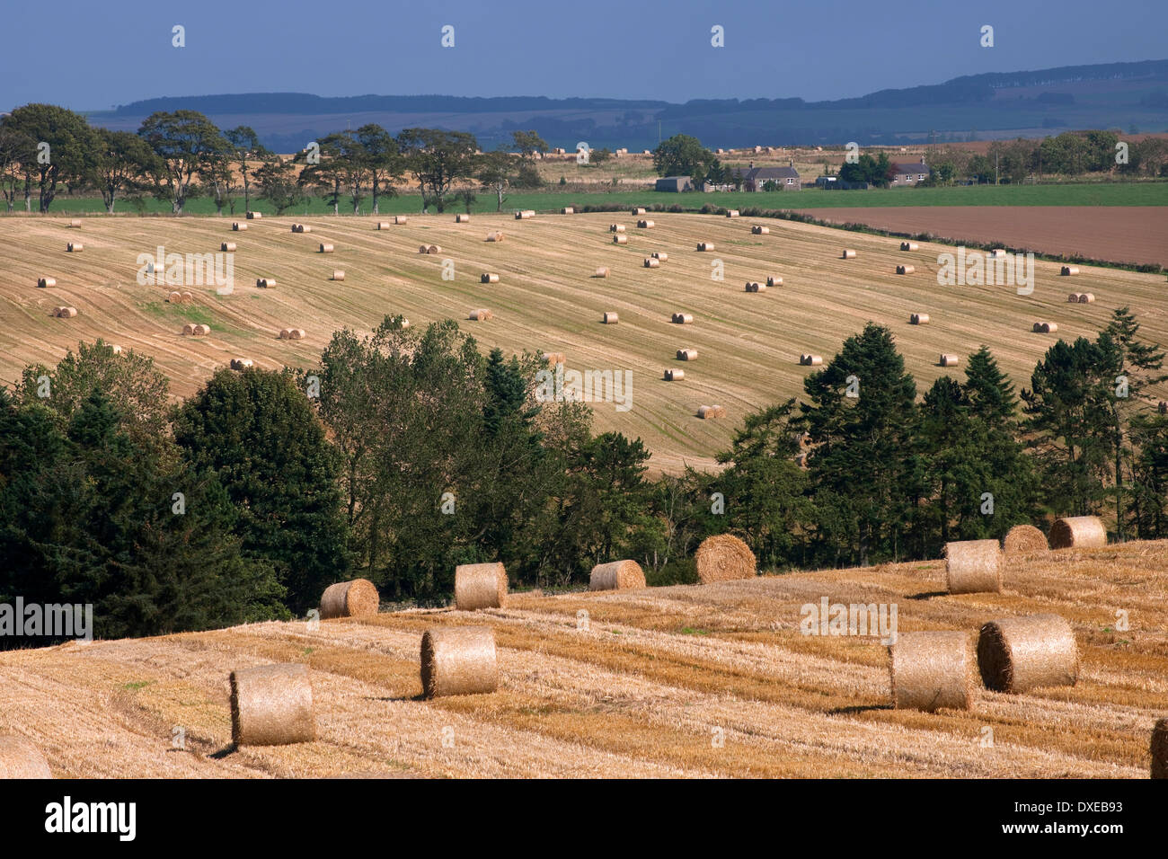 Beautiful rolling hills hi-res stock photography and images - Alamy