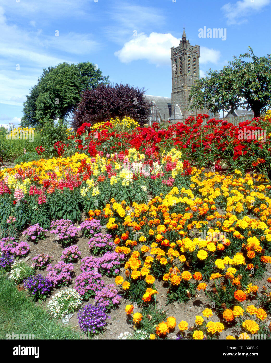 Colourful gardens in the park at Castle-douglas,kirkudbrightshire,south west scotland Stock Photo