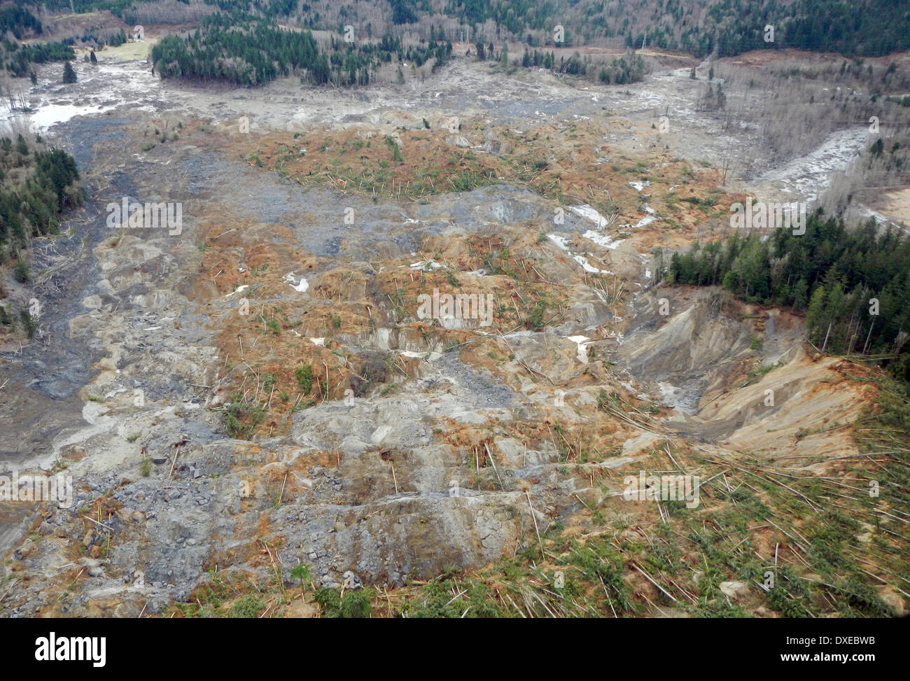 Aerial view of the landslide that blocked the Stillaguamish River burying State Route 530 and causing a massive mudslide killing at least fourteen people and destroying a small riverside village in northwestern Washington state March 22, 2014 in Oso, Washington. Officials report that 176 people are still missing and feared dead. Stock Photo