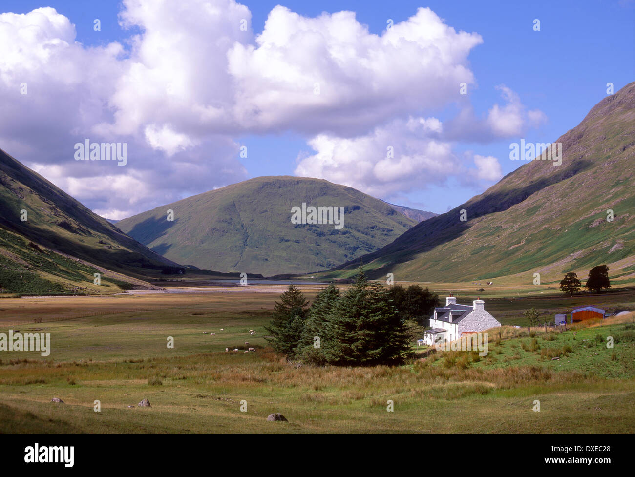 farm in the pass of Glencoe, West Highlands. Stock Photo