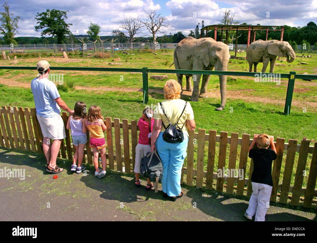 Blair drummond safari park stirling scotland hires stock photography and images Alamy
