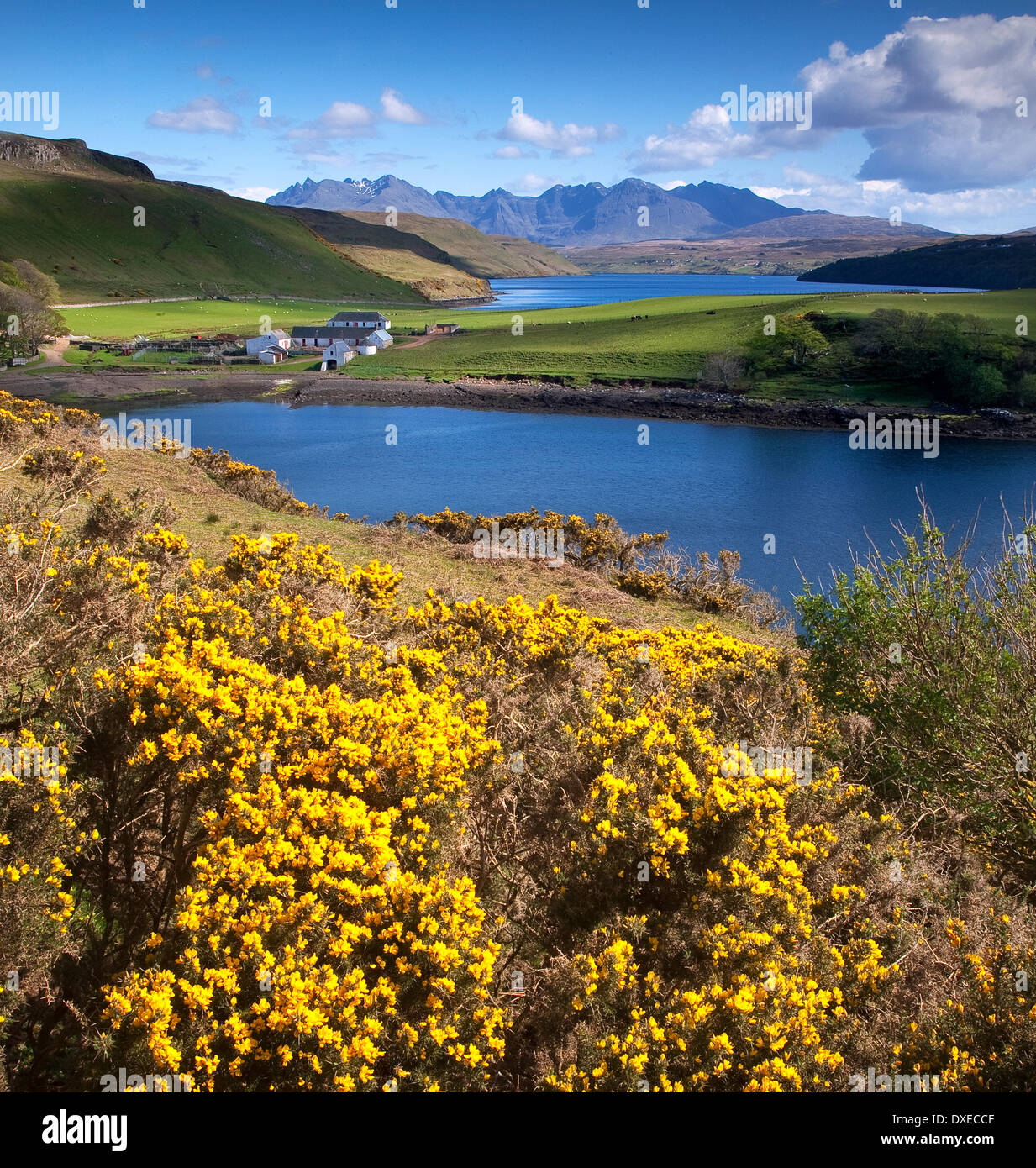 Loch bracadale isle skye scotland hires stock photography and images