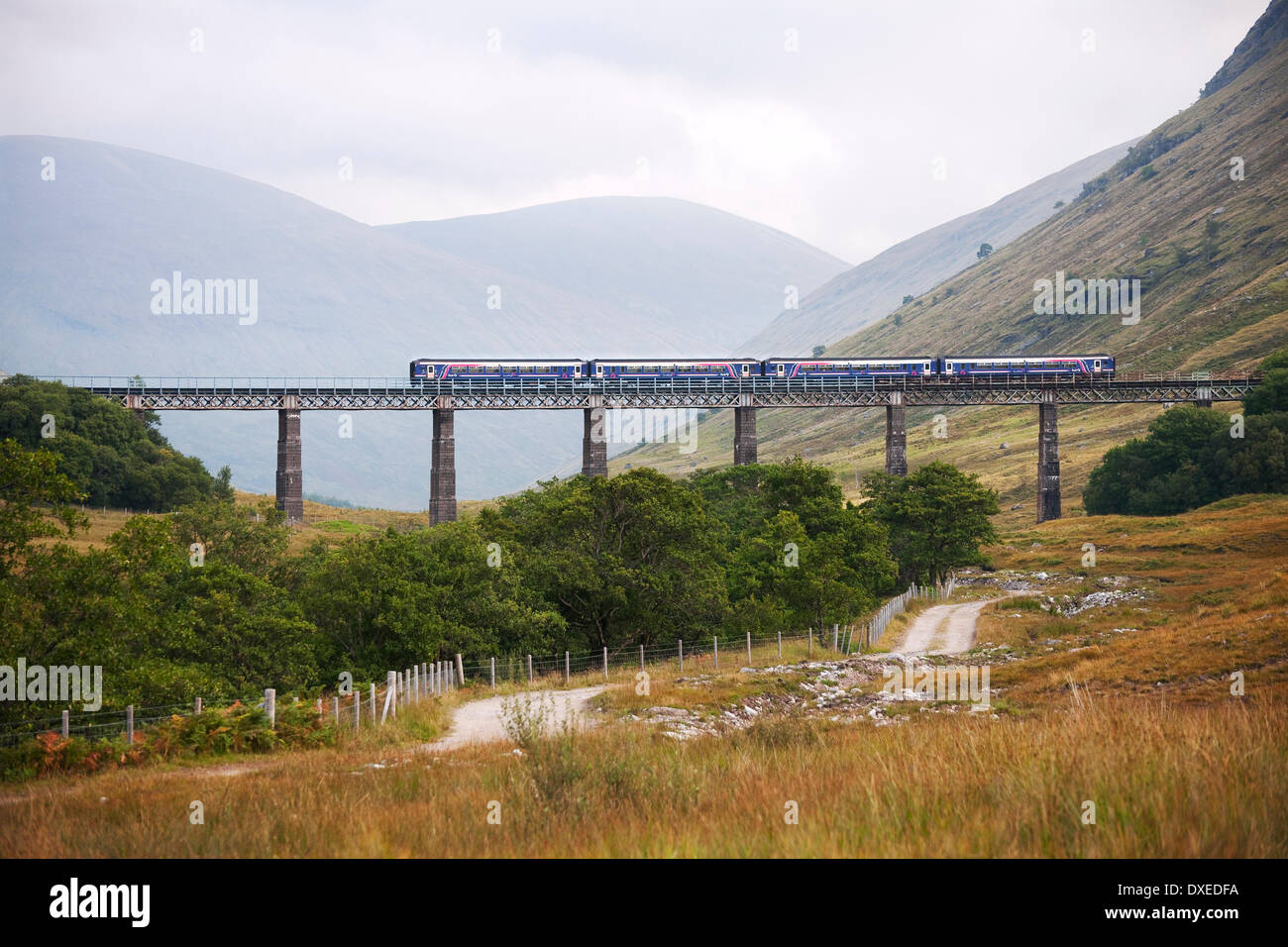 156 First Scotrail Sprinter, Auch Viaduct, nr Tyndrum. Stock Photo