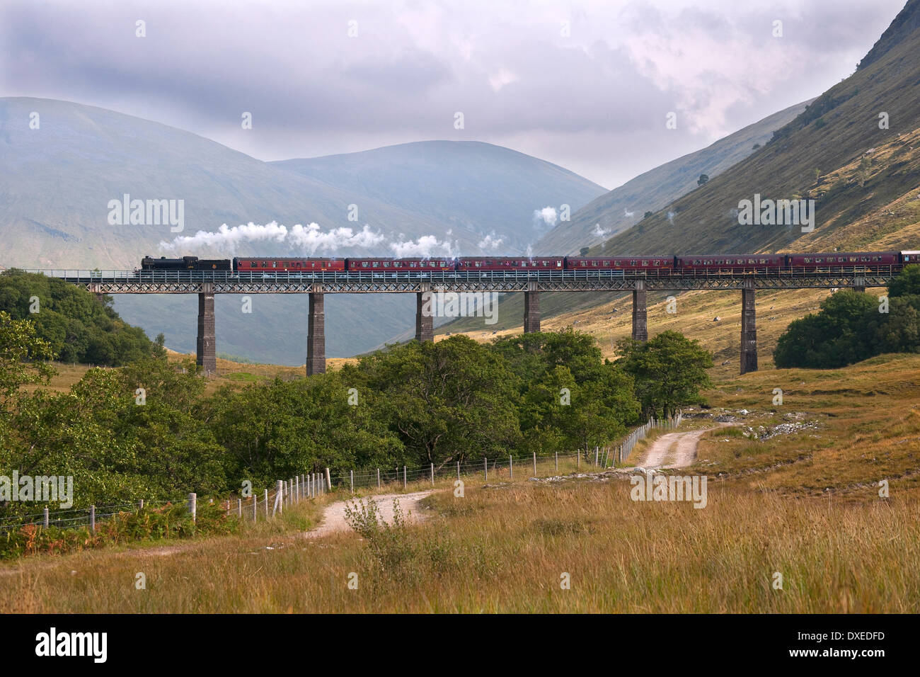 Great Marquess seen crossing the Horseshoe viaduct, Auch, Nr Tyndrum. Stock Photo