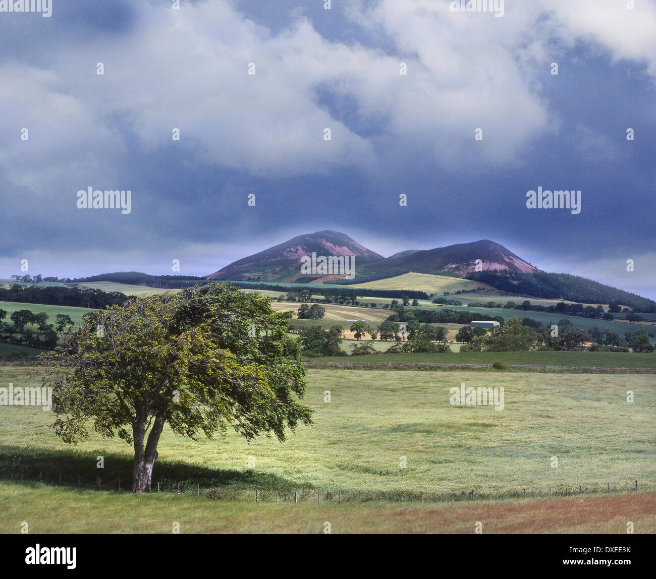 Eildon hills stormy hi-res stock photography and images - Alamy