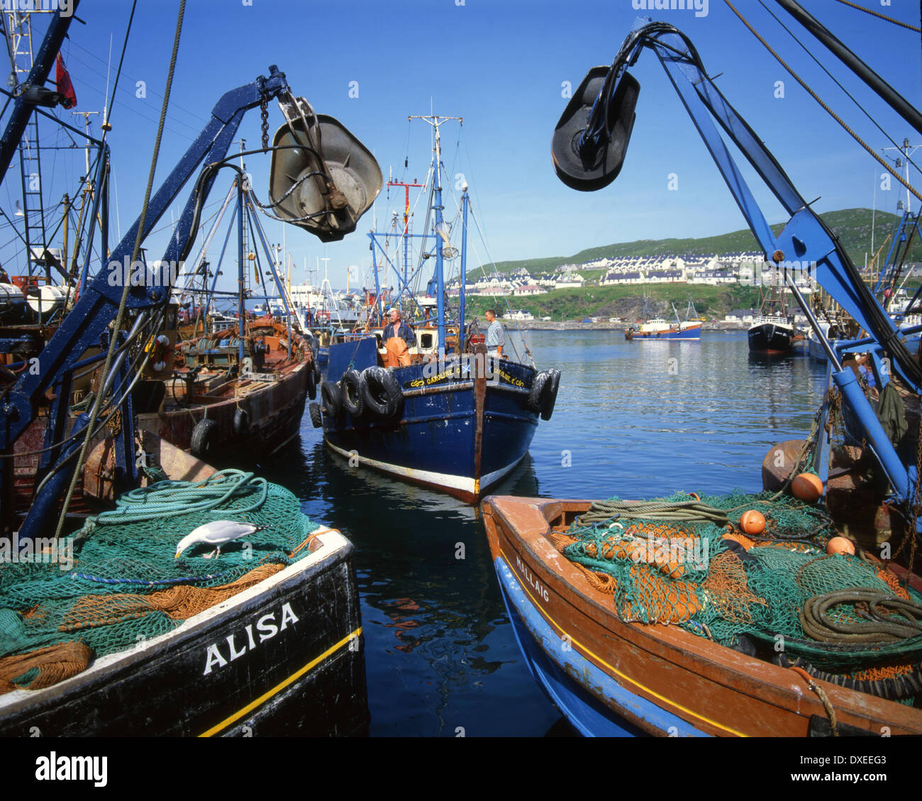 fishing boats in mallaig harbour west highlands Stock Photo