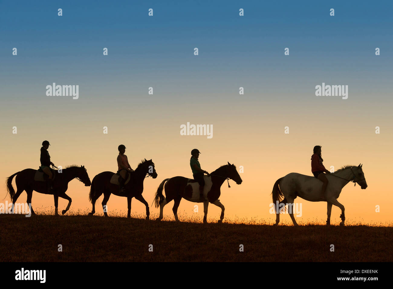 Horse riders hi-res stock photography and images - Alamy