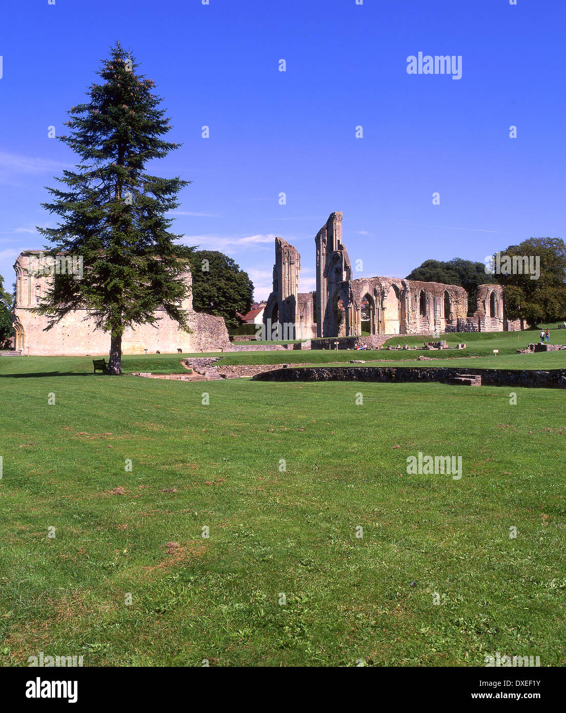 The impressive ruins of Glastonbury Abbey in Glastonbury,Somerest,England. Stock Photo