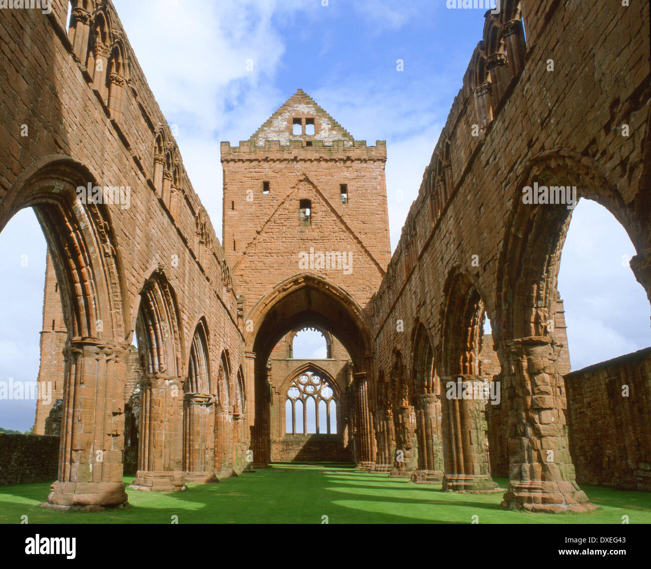 Amidst the ruins of Sweetheart Abbey, a late 13th century abbey near to New Abbey village, Scottish Borders. Stock Photo