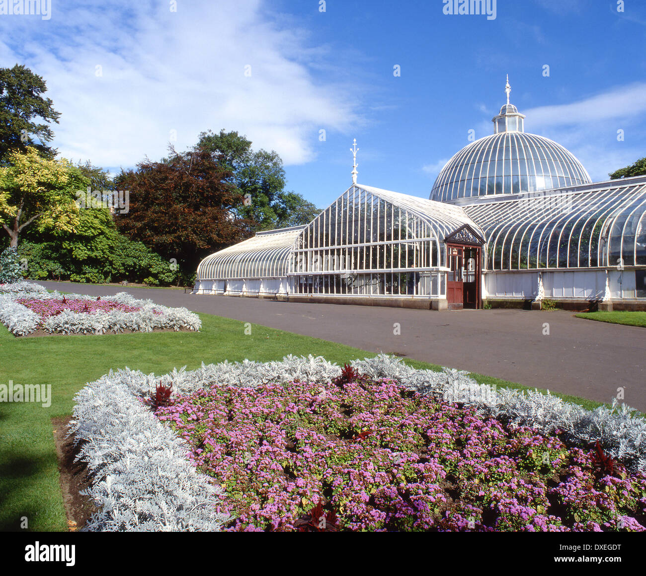 Kibble Palace In Glasgow Botanical Gardens City Of Glasgow Stock Photo kibble-palace-in-glasgow-botanical-gardens-city-of-glasgow-stock-photo