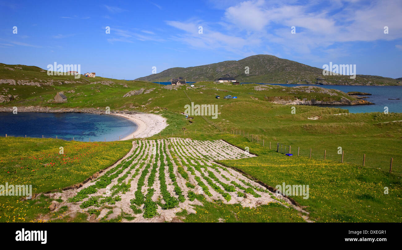 lazy beds and beaches, Vatersay, Outer Hebrides. Stock Photo