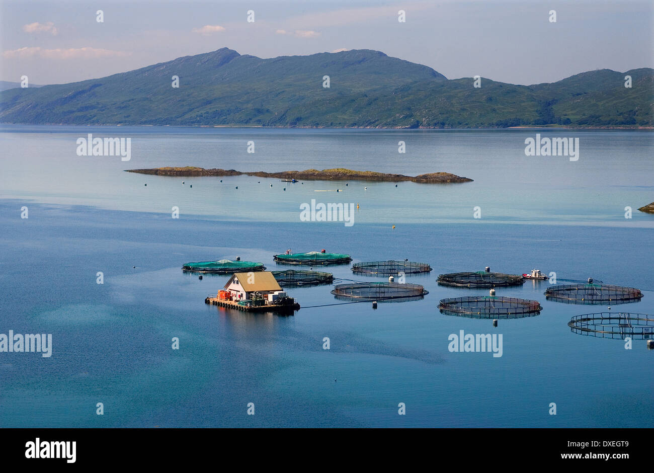 Fish farm cages off the coast of Lismore,Argyll Stock Photo Alamy