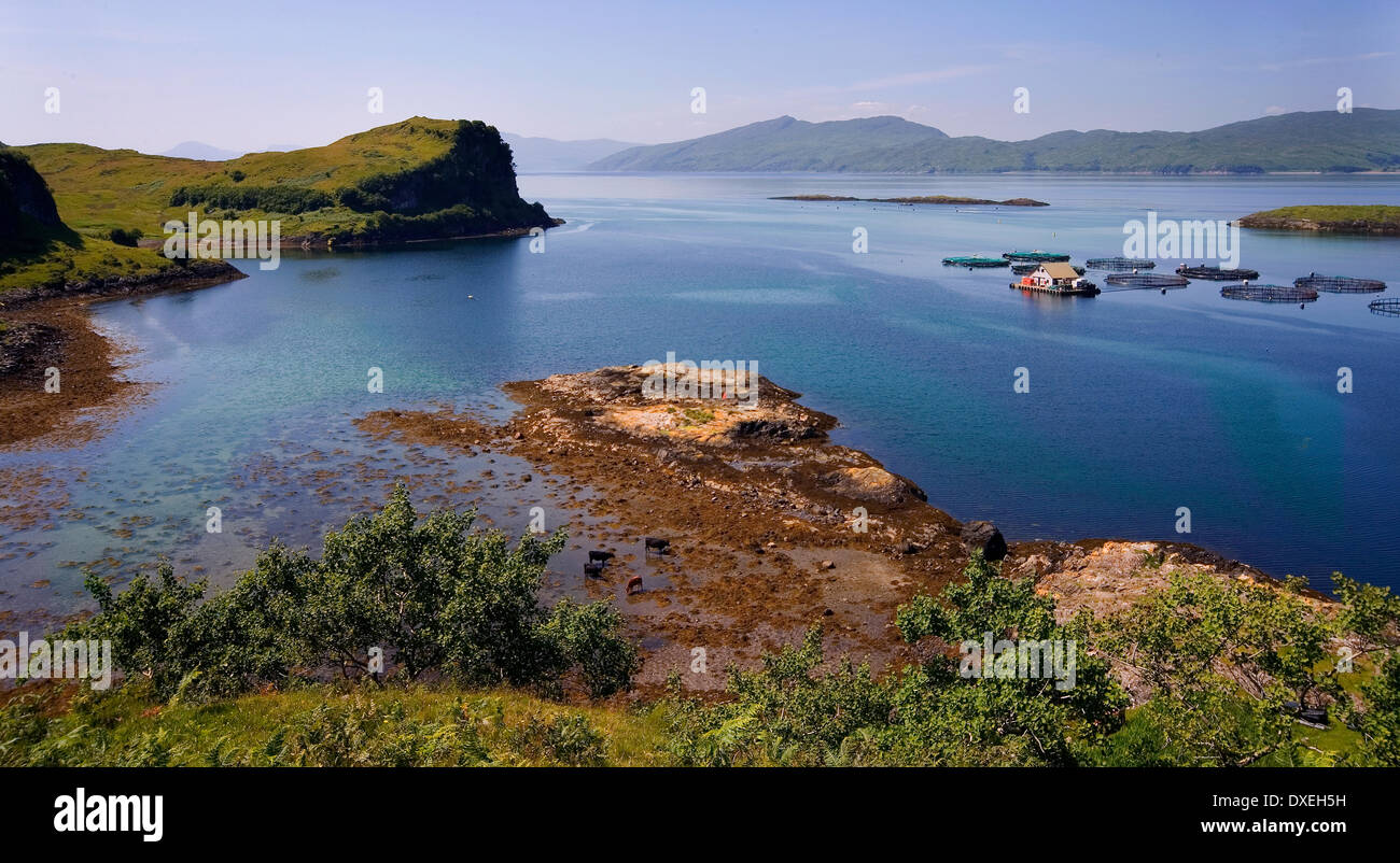 Fish farm situated on the north west corner of the island of Lismore