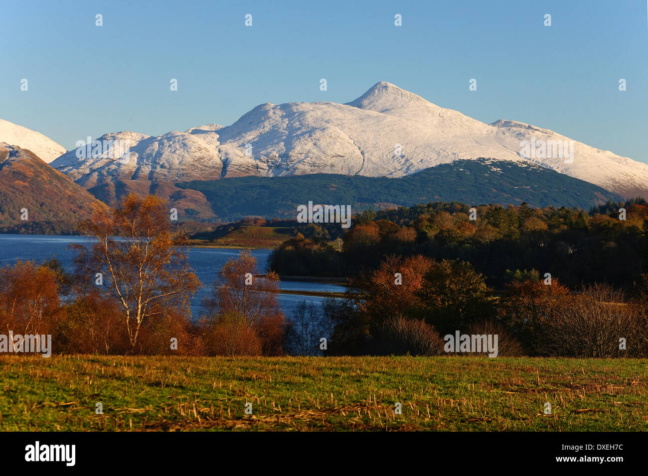 Ben Cruachan, Loch Etive, Argyll Stock Photo Alamy