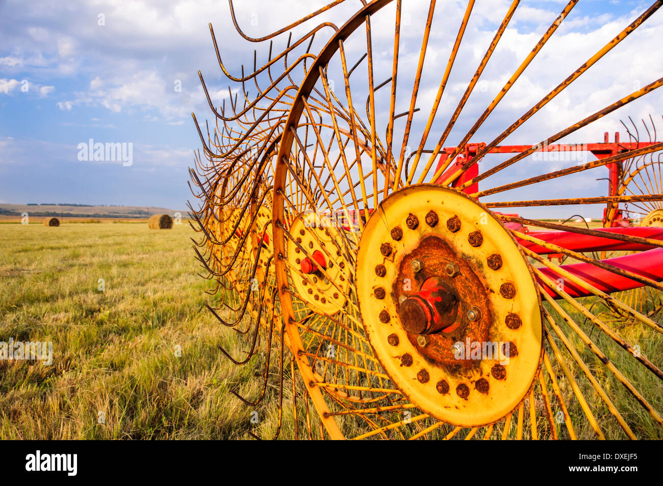 Agricultural starwheel hay rake machine to cut grass for bales on a