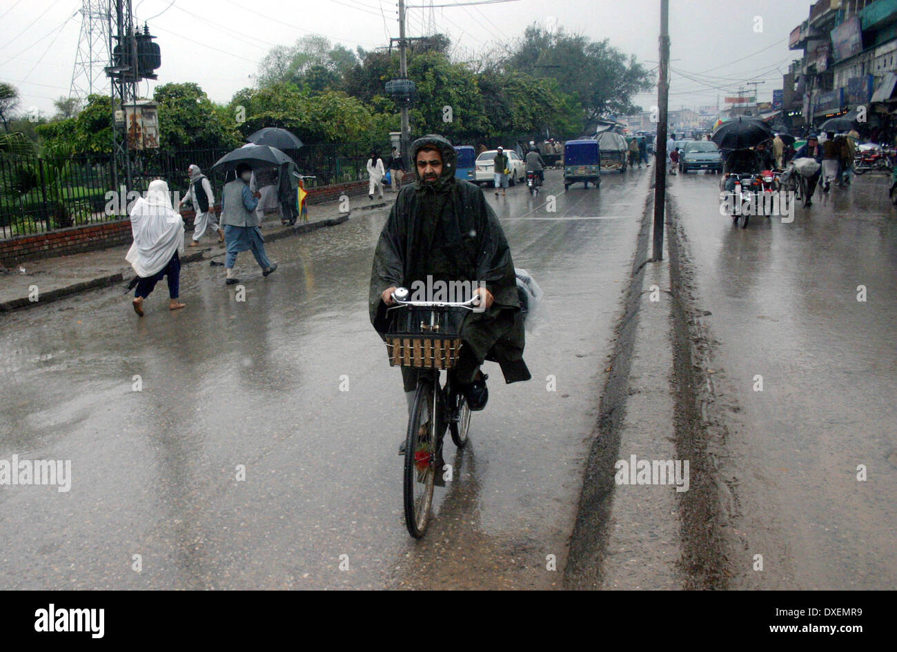 (140325) -- PESHAWAR, March 25, 2014 (Xinhua) -- A Pakistani man rides on a bicycle in rain in northwest Pakistan's Peshawar on March 25, 2014. Rain continues in many parts of the country in the last 48 hours. (Xinhua/Ahmad Sidique) (lmz) Stock Photo