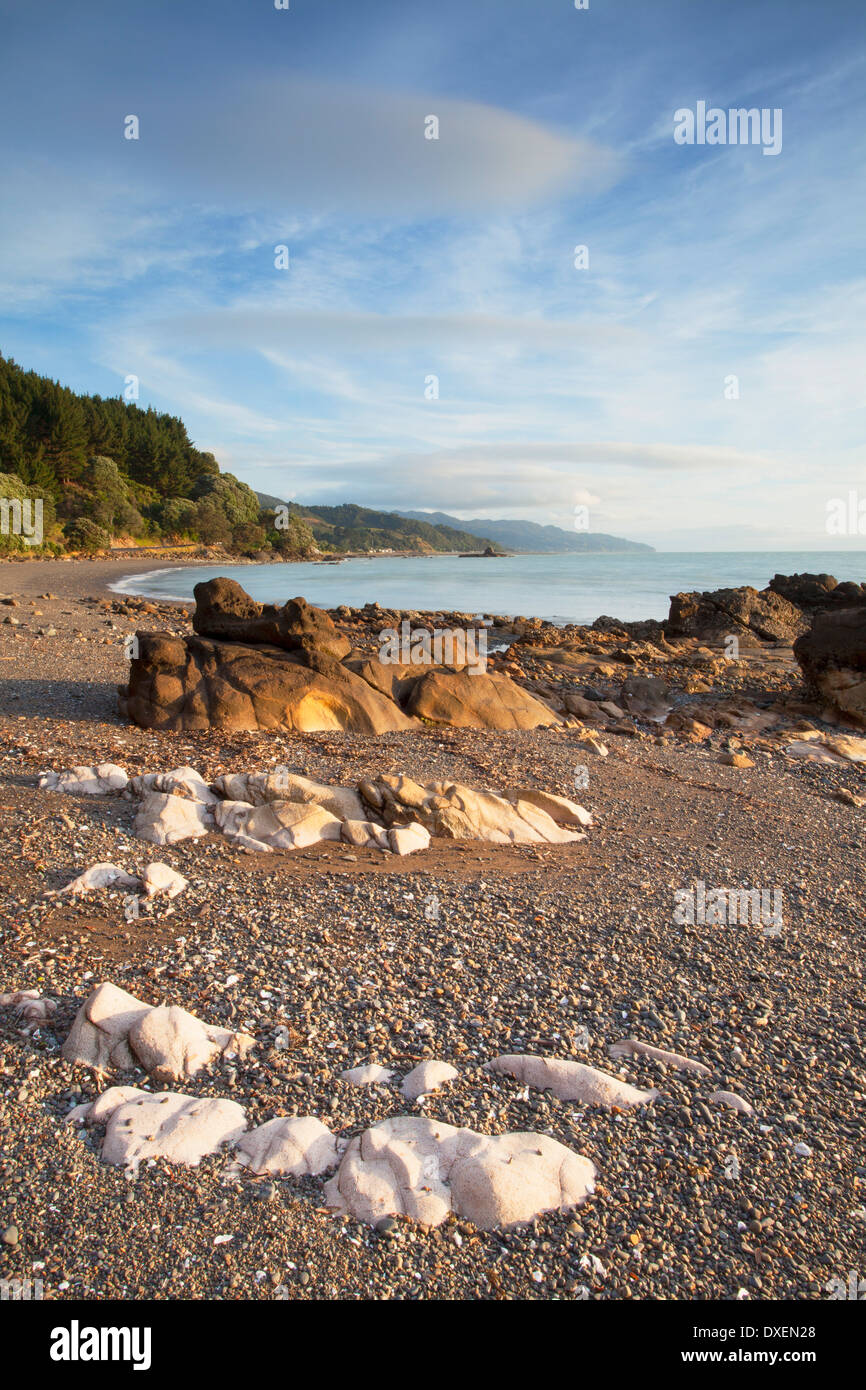 Te Mata beach, Coromandel Peninsula, North Island, New Zealand Stock Photo