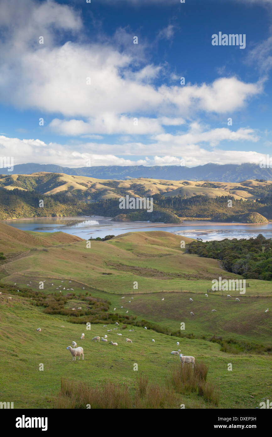 Manaia hires stock photography and images Alamy