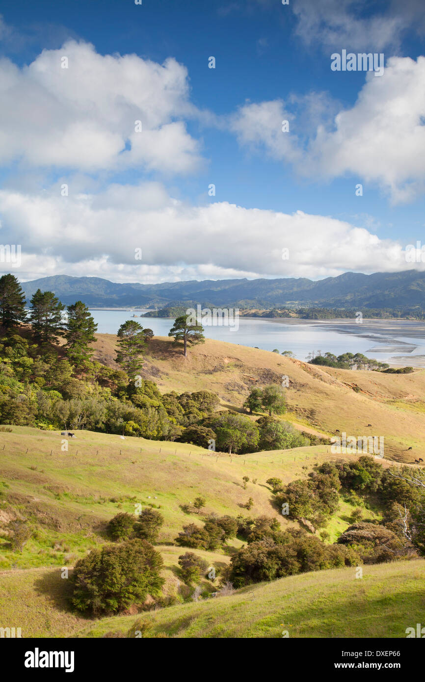 Manaia hires stock photography and images Alamy