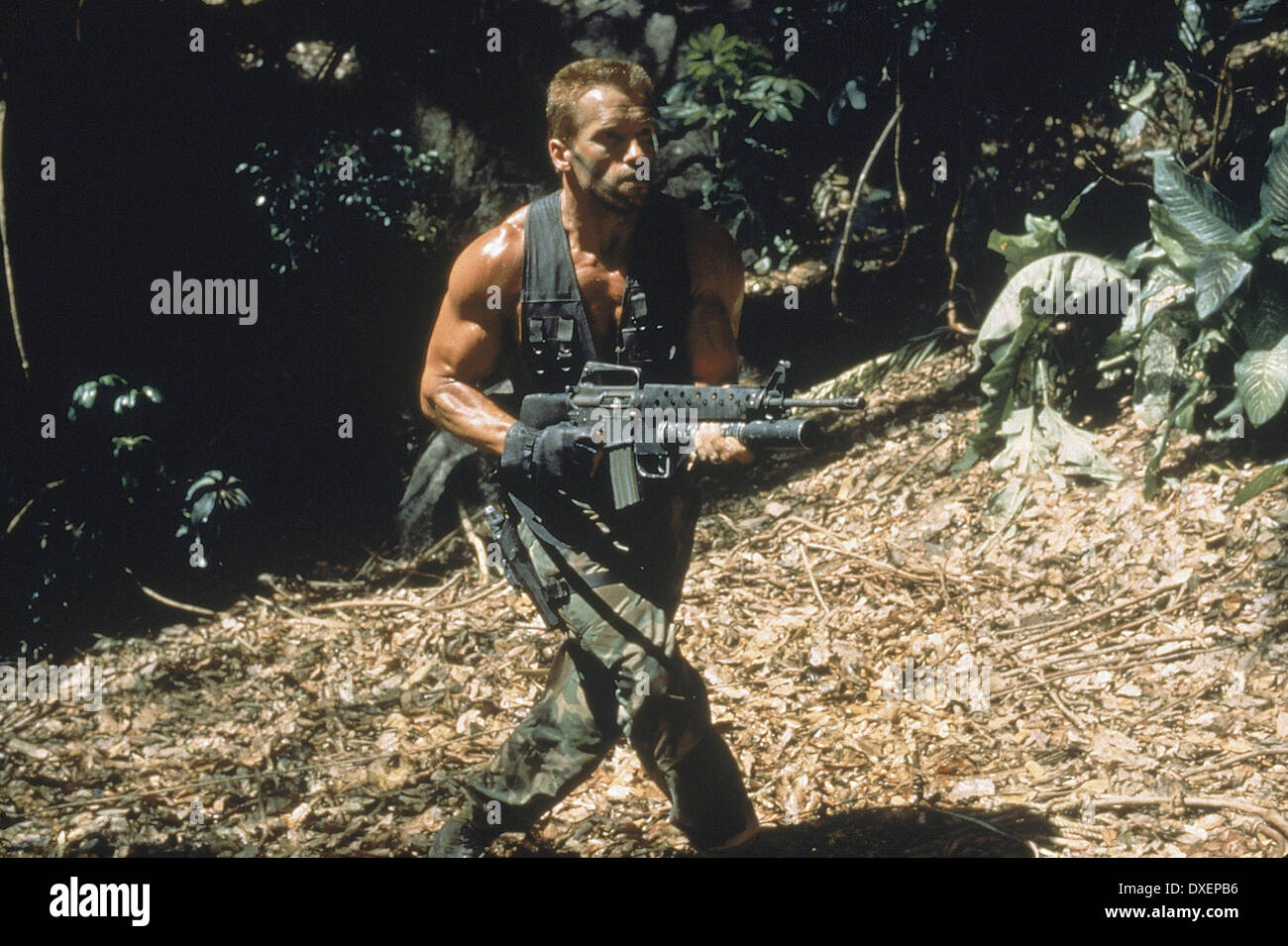 Predator Stock Photo - Alamy