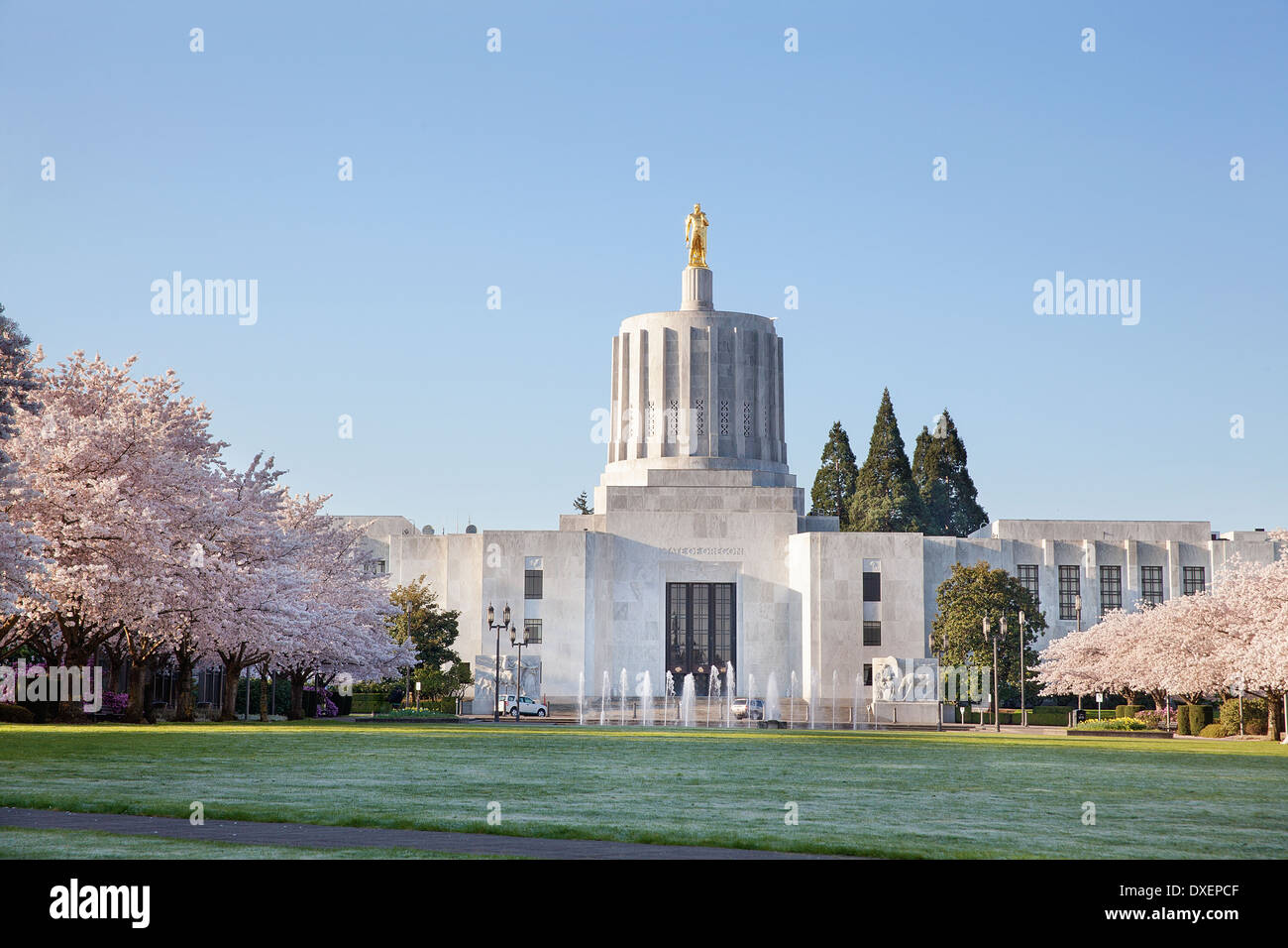 Salem Oregon State Capitol Building with Flowering Cherry Blossom Trees in Spring Season Stock Photo