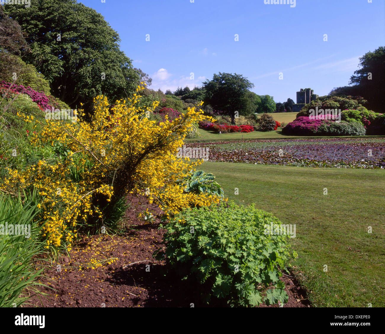 spring view in castle kennedy gardens towards castle ruins,near stranraer,dumfries-and-galloway, Stock Photo