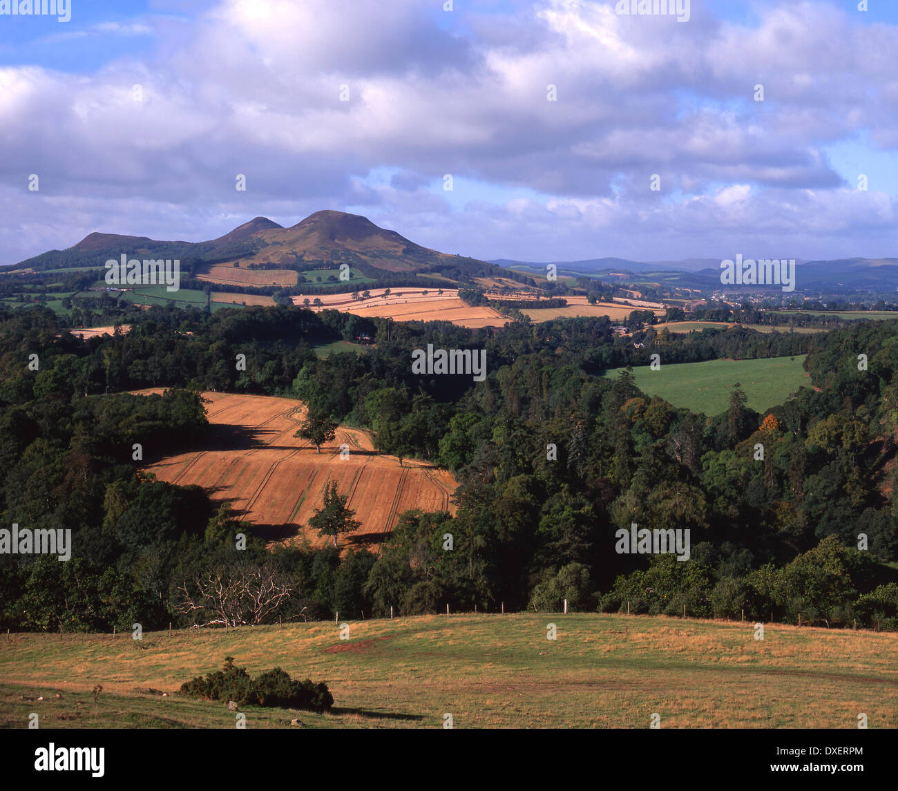 Eildon hi-res stock photography and images - Alamy
