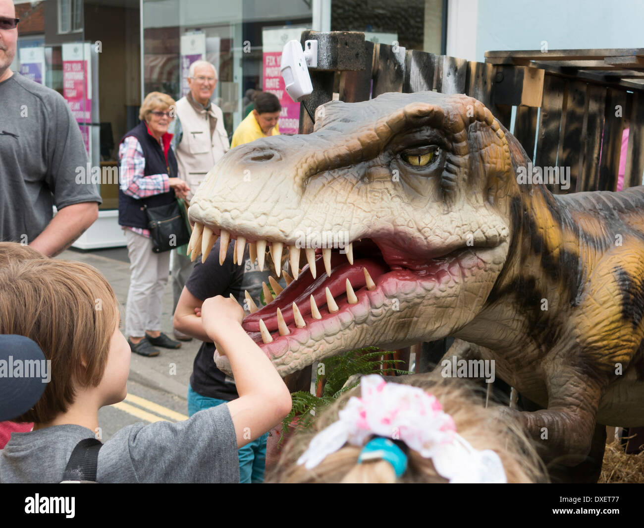Small boy holding teeth of model T Rex dinosaur in Sheringham Norfolk England Stock Photo
