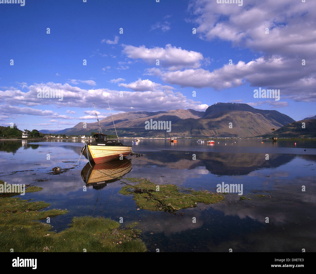 Ben Nevis from shore of Loch Eil, Lochaber Stock Photo
