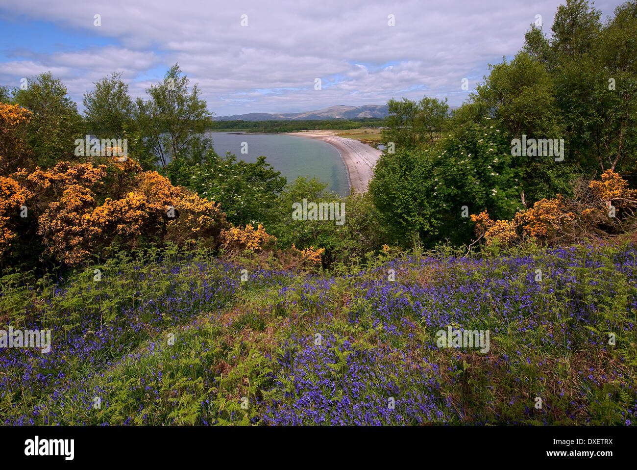 Tralee bay as seen from Benderloch, Argyll Stock Photo Alamy