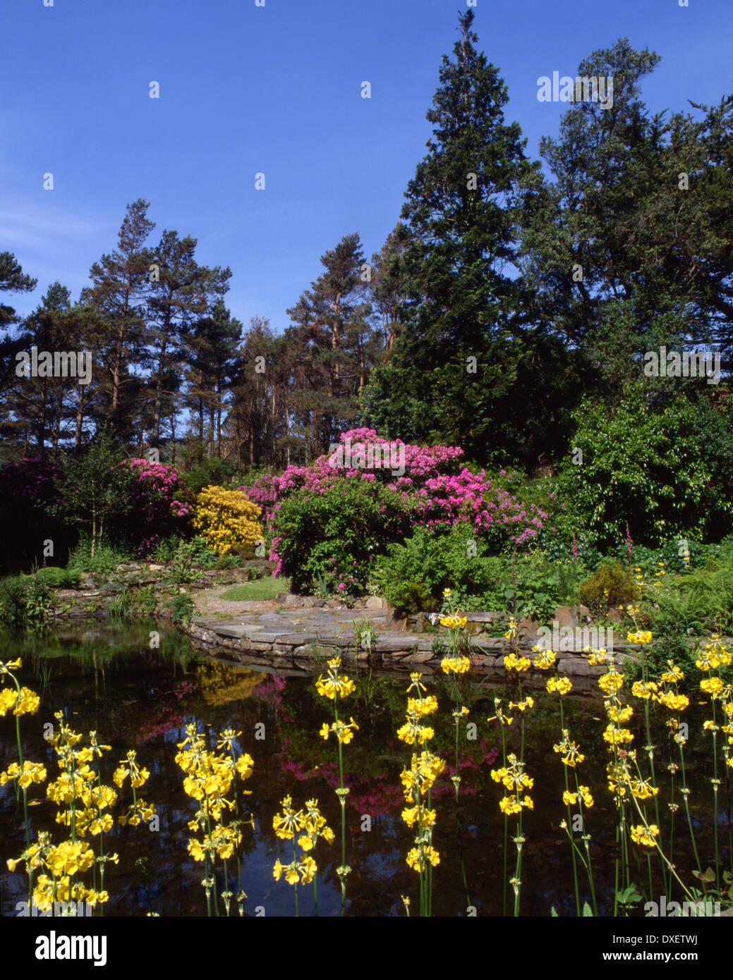 Arduaine woodland garden Loch melfort argyll Stock Photo Alamy