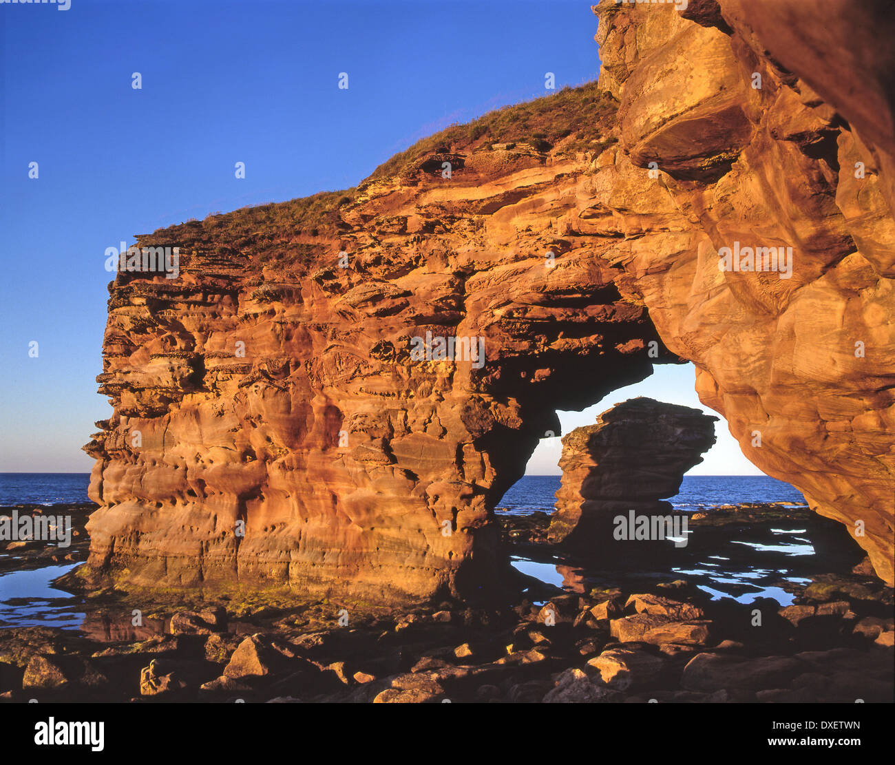 Sea arch, Torness, East Lothian Stock Photo Alamy