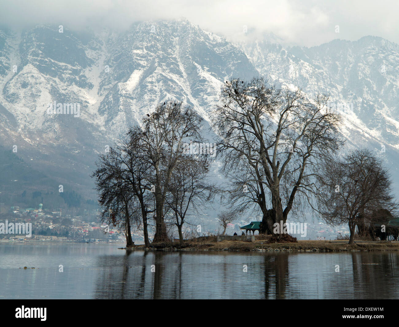 India, Kashmir, Srinagar, Char Chinar Island on Dal Lake Stock Photo