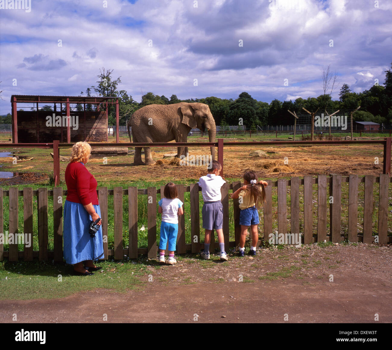 Blair Drummond Safari park near Stirling Scotland Stock Photo Alamy