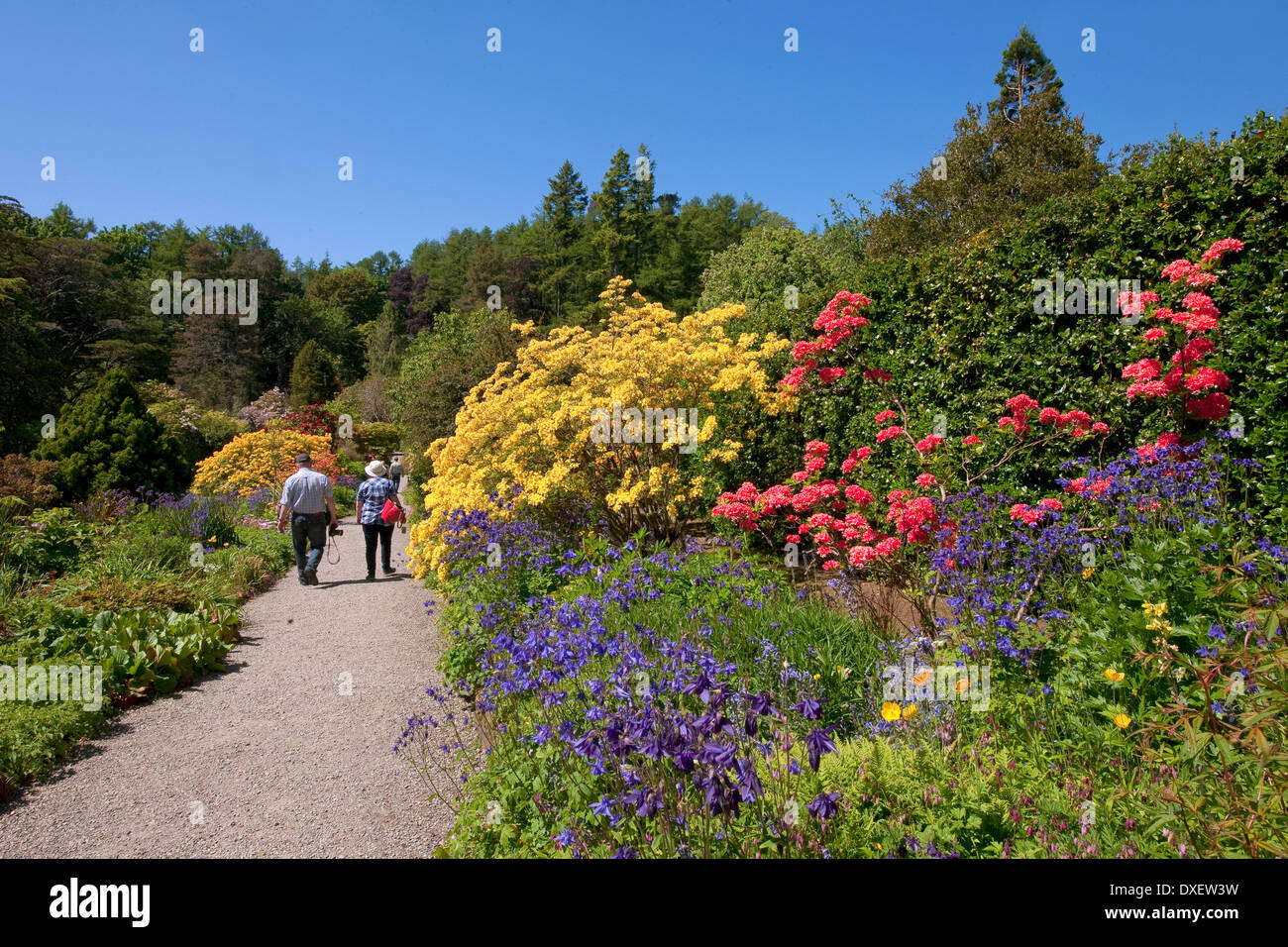Arduaine Gardens, Nr Melfort, Argyll Stock Photo