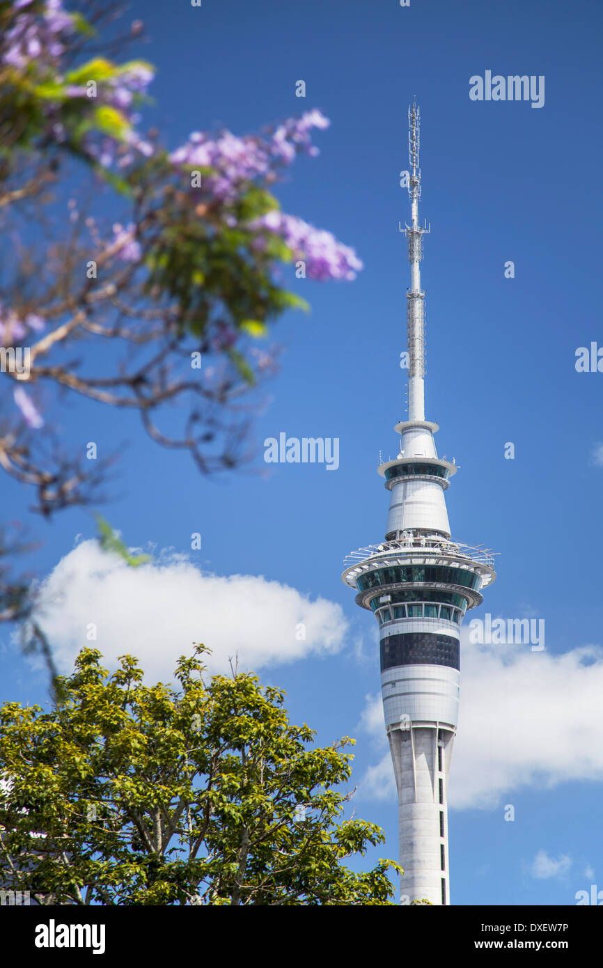 Sky Tower, Auckland, North Island, New