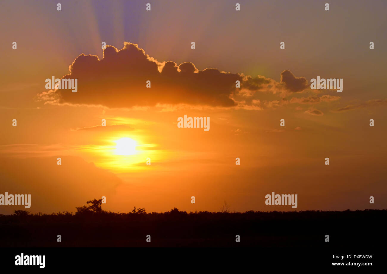 sunset over field in summer day Stock Photo
