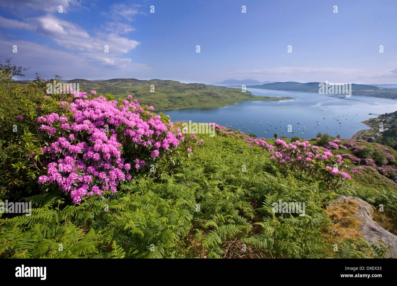 The Isle of Arran as seen from above Tignabruaich, Kyles of Bute, Argyll Stock Photo