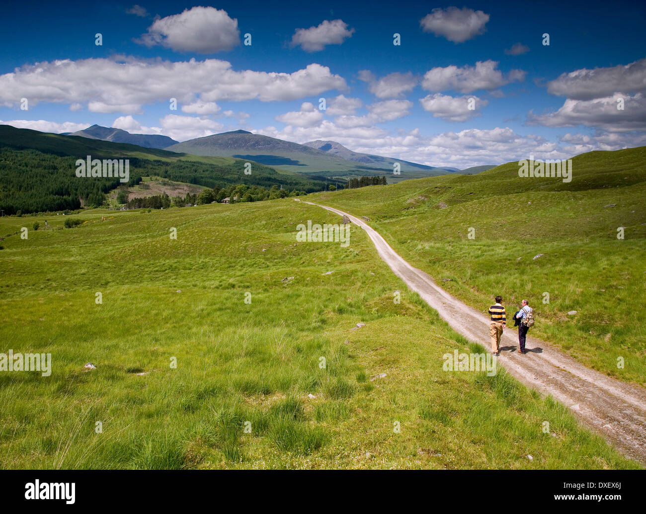 Walkers head for the Bridge of Orchy on the West Highland way, West Highlands. Stock Photo