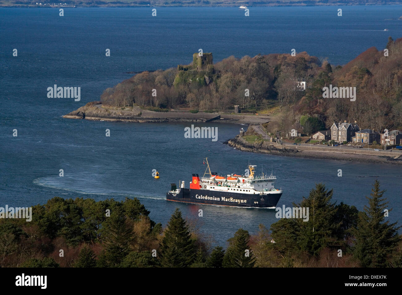 M.V. Lord of the Isles passes Dunollie Castle, Oban bay. Stock Photo