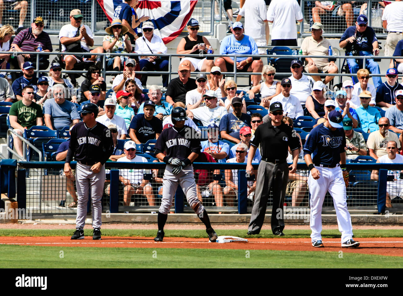 Tampa rays mascot hi-res stock photography and images - Alamy