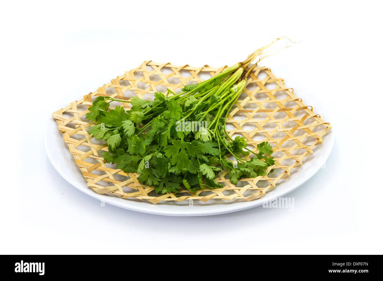 Coriander Coriandrum sativum on wickerwork dish white background Stock Photo Alamy