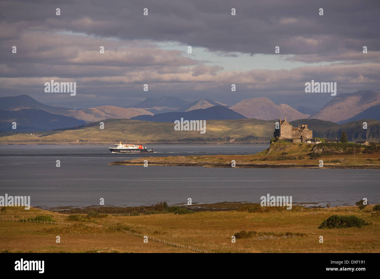 The M.V.Lord of the Isles passes Duart castle, Isle of Mull. Stock Photo